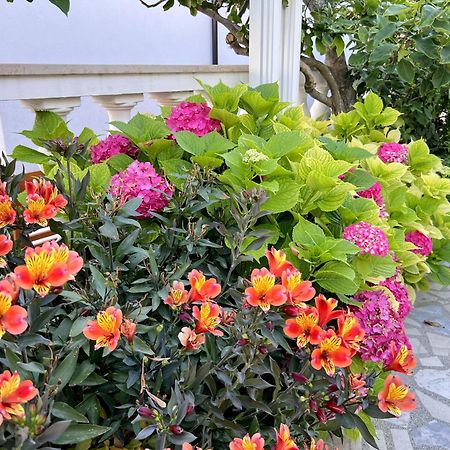 Bed & Breakfast Rab Palit Dış mekan fotoğraf