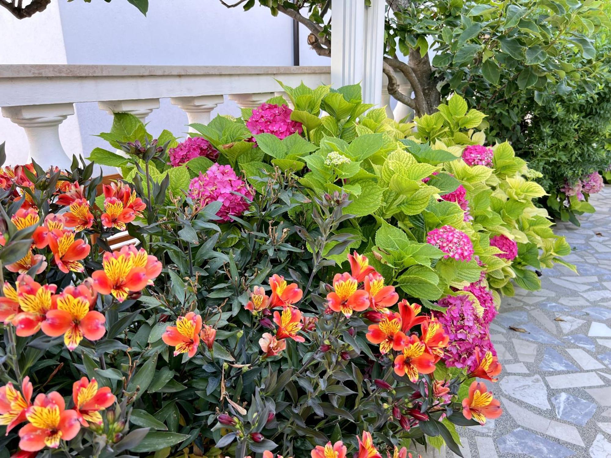 Bed & Breakfast Rab Palit Dış mekan fotoğraf