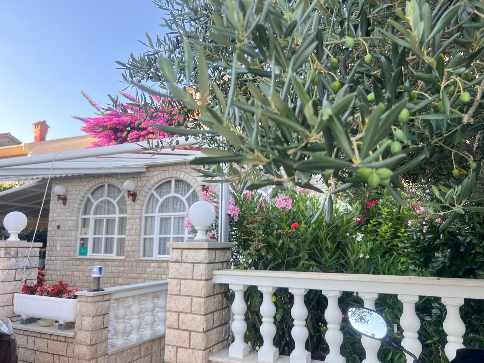 Bed & Breakfast Rab Palit Dış mekan fotoğraf