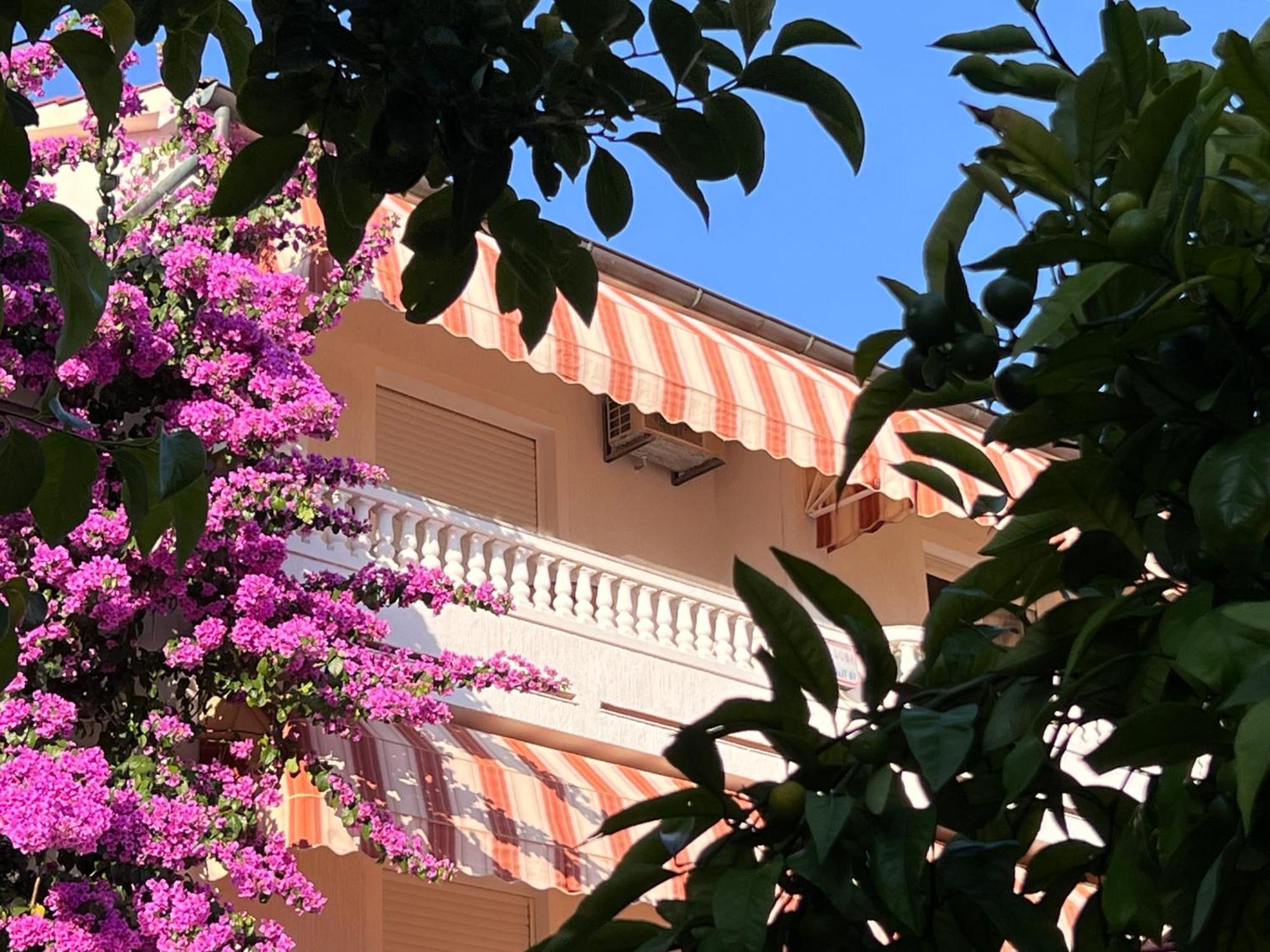 Bed & Breakfast Rab Palit Dış mekan fotoğraf